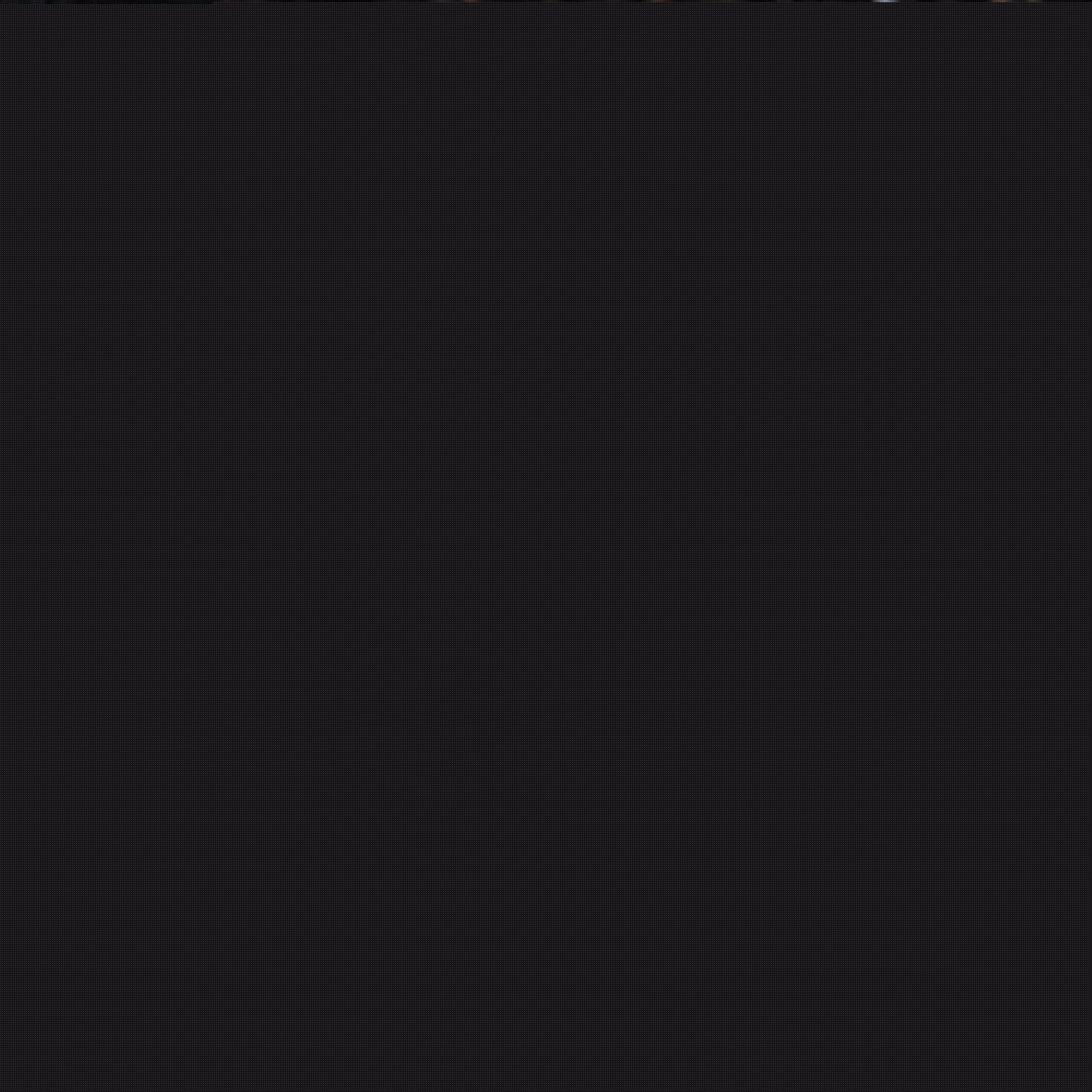 不当行为