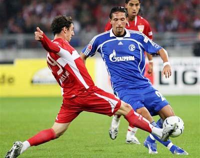 的多样性 的多样性