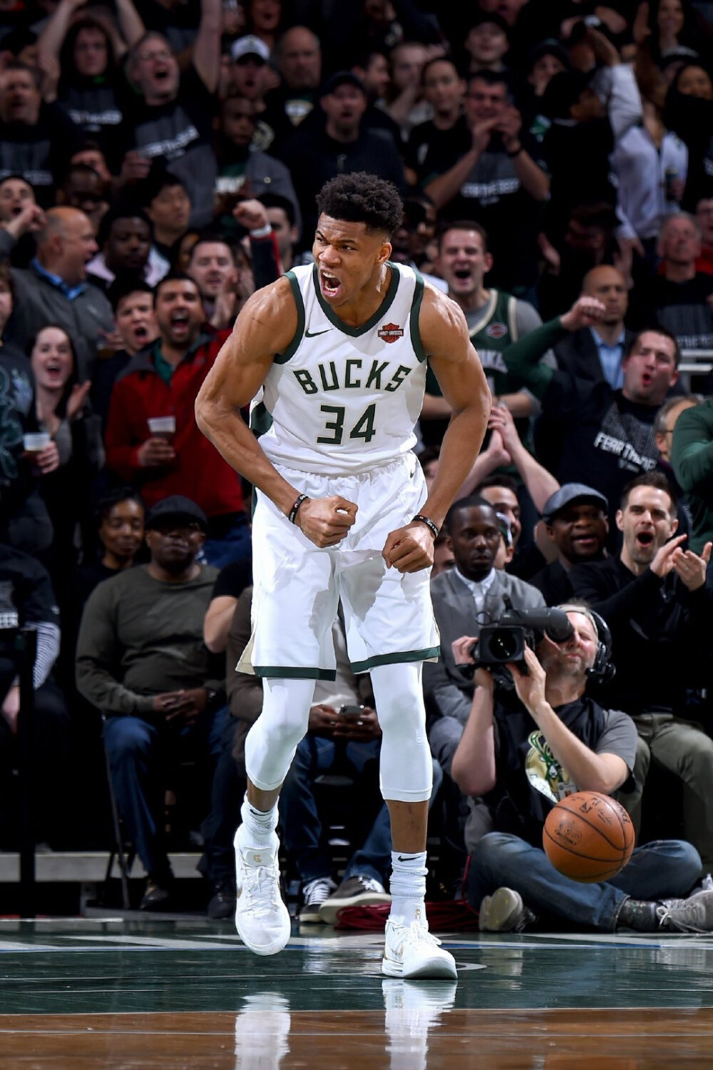 最终在主场 最终在主场